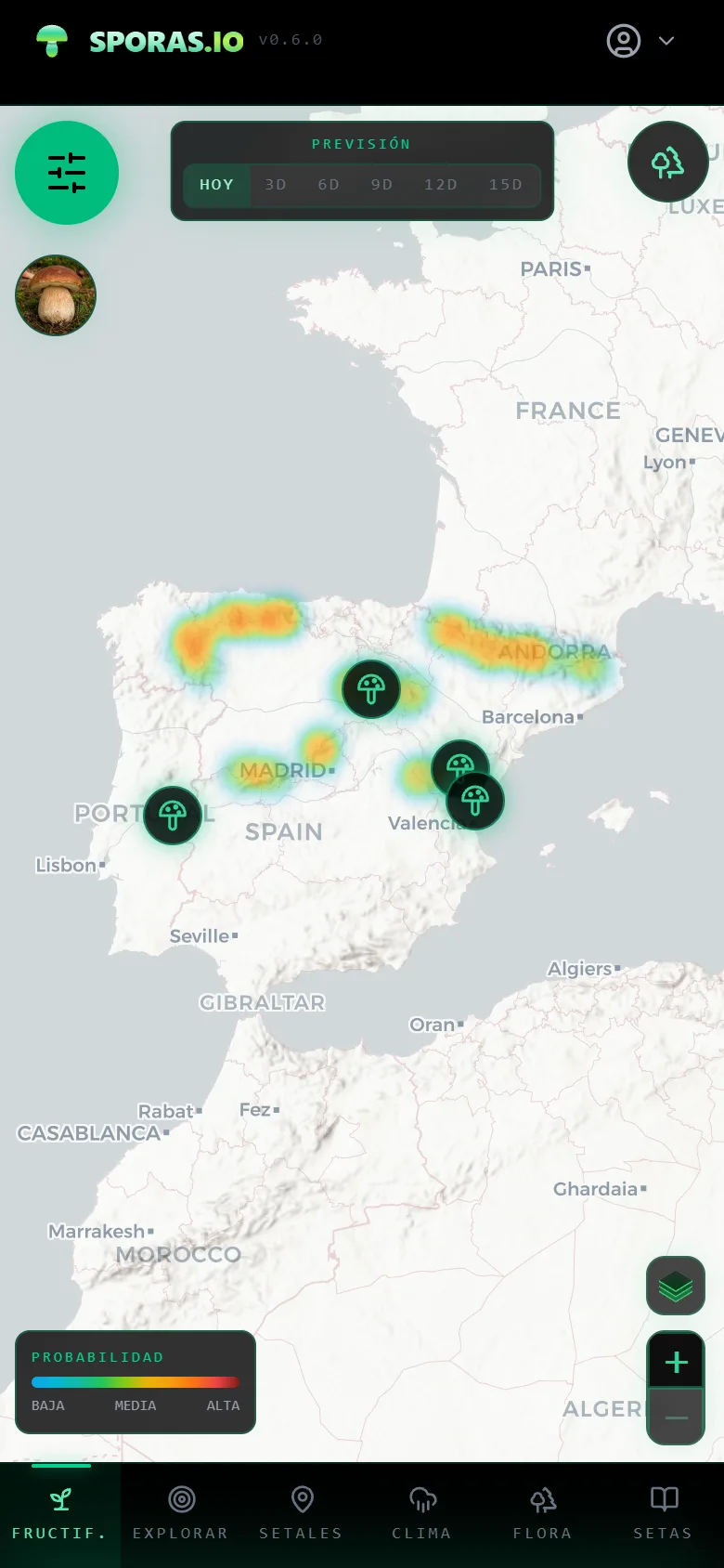 Mapa de calor de probabilidad de fructificación por especie sobre la Península Ibérica en el visor GIS de sporas.io