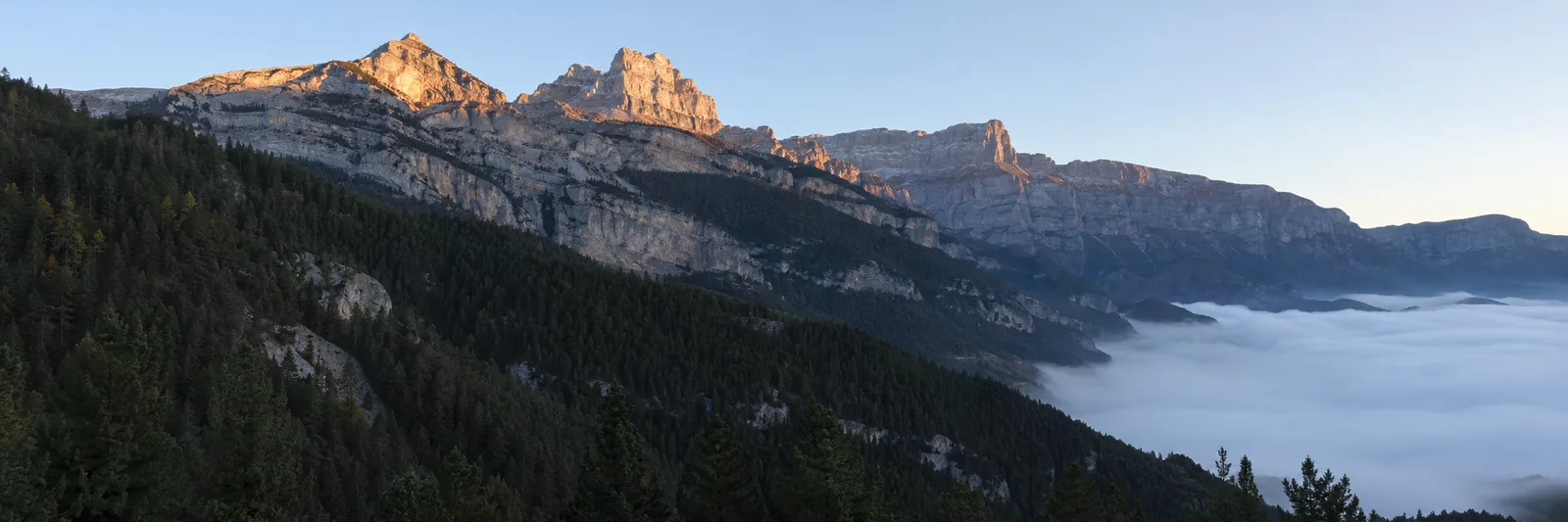 Ladera de pinar del Pirineo aragonés sobre un mar de nubes, con las paredes calizas iluminadas por la primera luz.