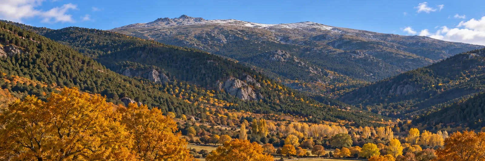 Valle del Lozoya en otoño: robledales dorados y prados con muros de piedra en el fondo, pinares oscuros en las laderas y la cuerda de Peñalara con la primera nieve.